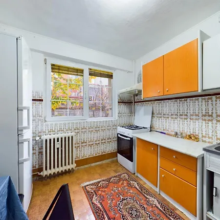 Apartment Dorobanti *