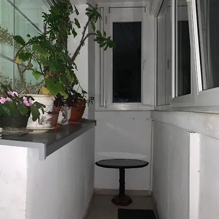 Dorobanti Apartment *